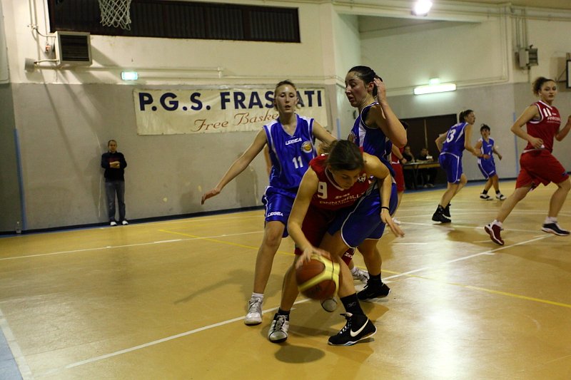 Basket 443022